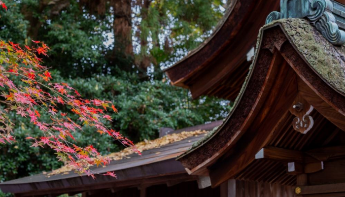 永磁变频羞羞视频在线观看免费播放