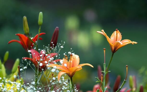 螺杆羞羞视频在线观看免费播放