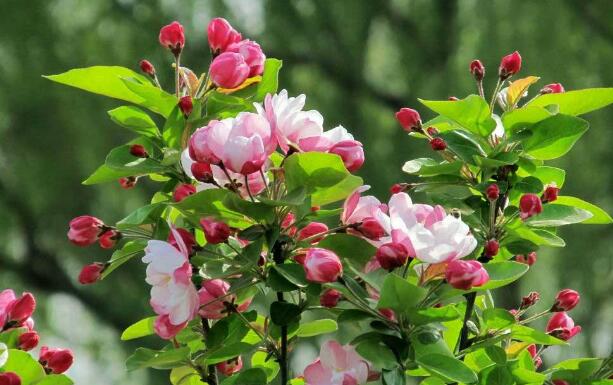 永磁变频羞羞视频在线观看免费播放